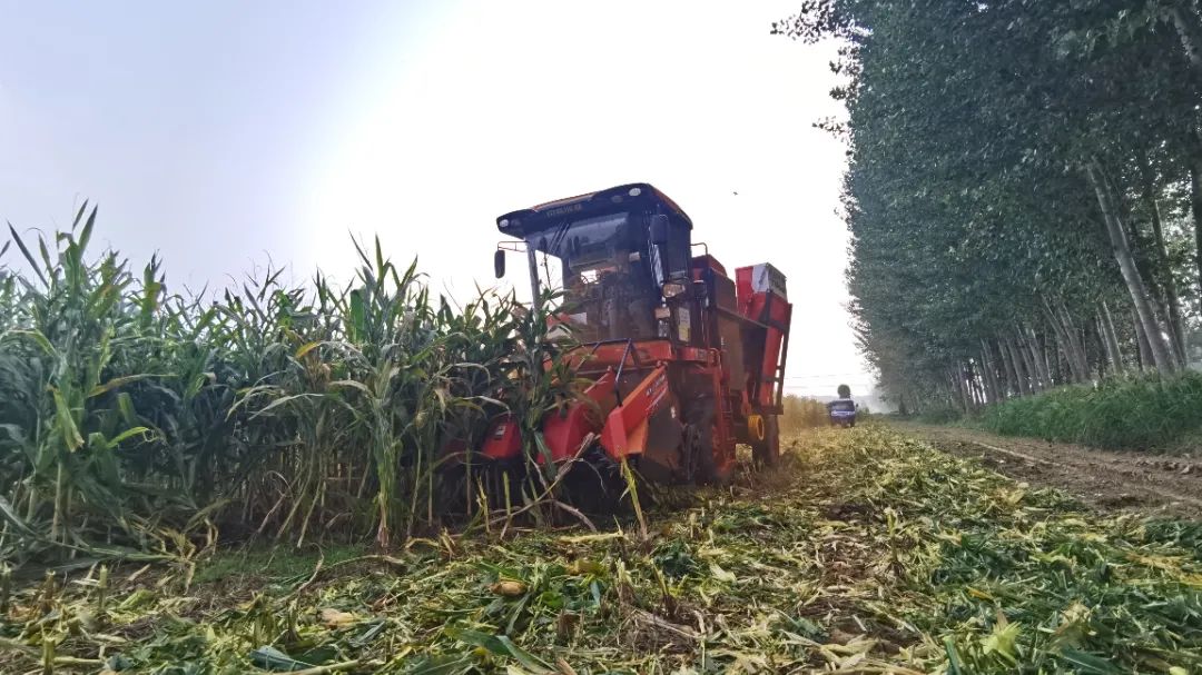 響應(yīng)“一帶一路”中聯(lián)收獲再次走出國(guó)門 726-1.jpg