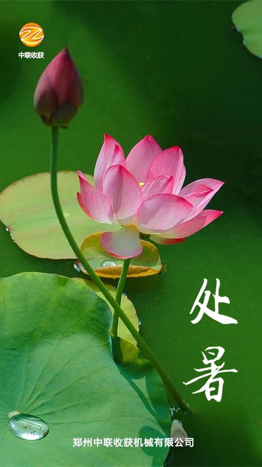 今日處暑|處暑時(shí)節(jié),喜樂迎豐收 823.jpg