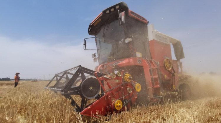 來自90后經(jīng)銷商的認可：從小接觸新疆—2小麥機，對中聯(lián)收獲完全認可(圖3)